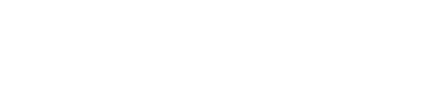 ZOOSERVISS GROUP